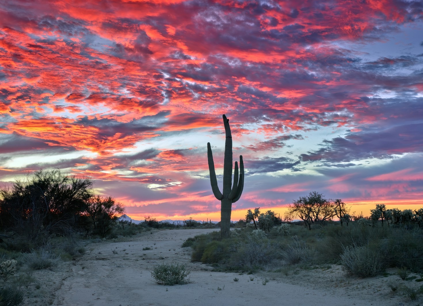Environmental Justice in the Sonoran Desert